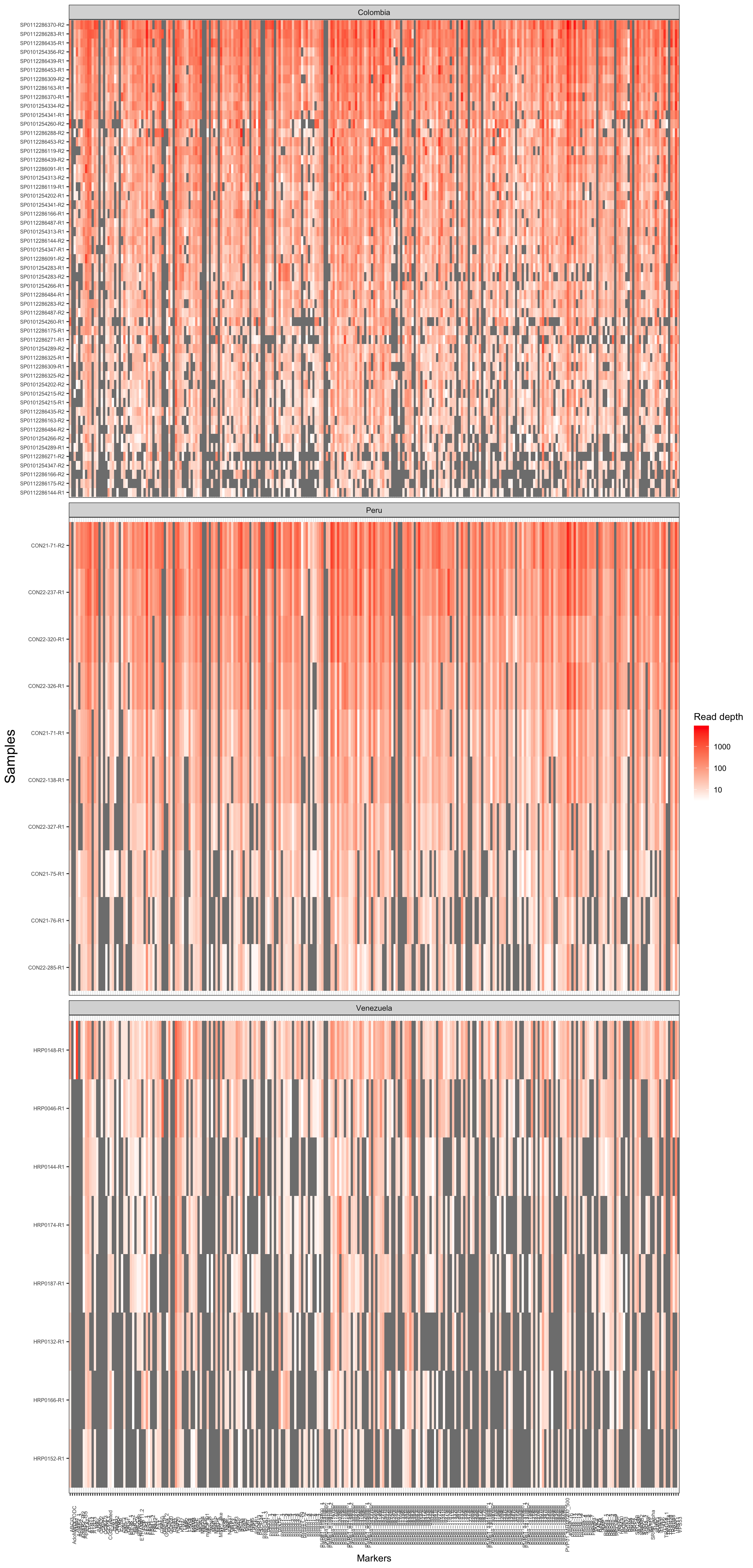 **Figure 2:** Read depth coverage of each samples and amplicon.