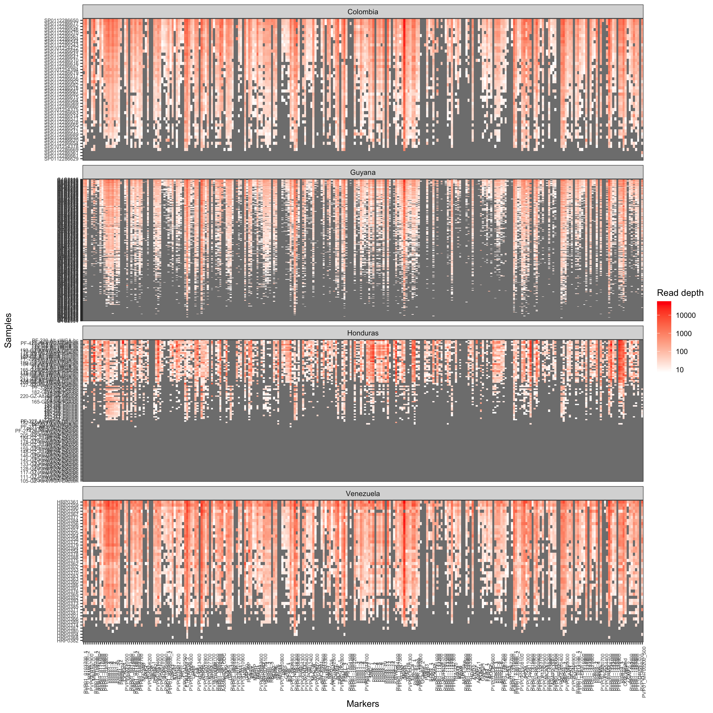 **Figure 7:** Read Coverage per sample per locus. The heatmaps show the number of read-pairs obtained per sample (rows) at each locus (columns). Separate panels are used for each value of Variable1 (e.g., sample geographic origin). Darker reds indicate higher read-depth. Grey indicates lack of signal for the locus/sample.